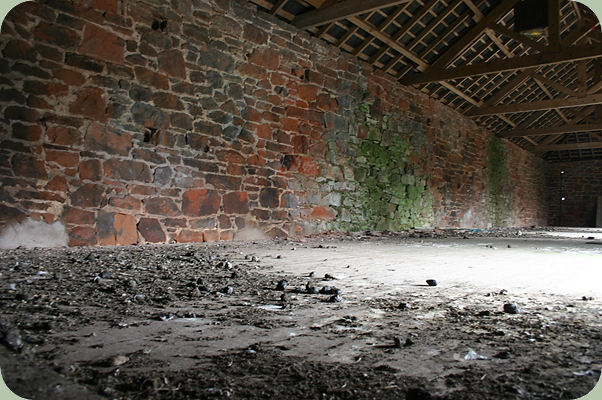 barn with owl pellets